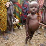 Un millón de niños puede morir de hambre en la zona del Sahel, según Acción contra el Hambre