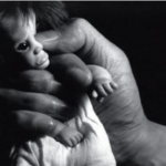 Primera exposición en EE.UU. de la mujer de Liu Xiaobo llega a Nueva York