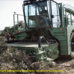 La CE adopta un plan para impulsar la economía mediante recursos biológicos