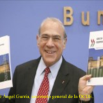 OCDE insta preparar mejor al mundo ante futuras crisis económicas