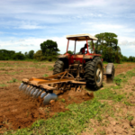 DGII extiende, desde este martes, exenciones al sector agropecuario para 2012