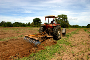 DGII extiende, desde este martes, exenciones al sector agropecuario para 2012