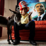 Un burro y un colibrí dominan el reino animal de la Cumbre