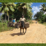 Confenagro confía en que Danilo Medina haga recuperar producción