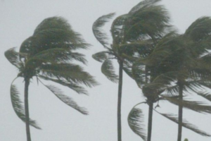 Se forma la tormenta tropical «Debby» en el Golfo de México