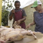 Oficializan precio carne de pollo en no más de RD$46.00 libra al consumidor final