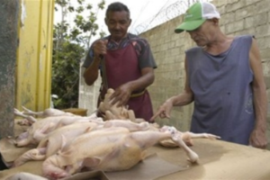 Oficializan precio carne de pollo en no más de RD$46.00 libra al consumidor final