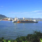 Apordom establece medidas de protección en los puertos