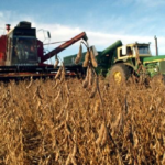 ONU aboga por no poner trabas a exportar alimentos ante subida de precios