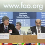 La FAO pide reforzar la gobernanza de la seguridad alimentaria