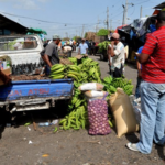Trabajadores Informales piden ser incluidos en Seguridad Social