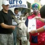 Jóvenes indignados quisieron inscribir a un burro para la Asamblea en Ecuador