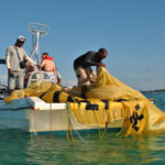 Cierra acuáticas y gift shop que operaban de forma irregular