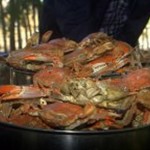 Comedores Económicos estudian posibilidad incorporar a su menú masa de Jaiba Sirica