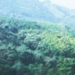 PNUD dice no es viable explotación Loma Miranda