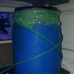 Descubren cadáver de alemán decuartizado