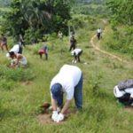 50 colaboradores de EDE Este realizan jornada de reforestación en La Guasuma, Monte Plata