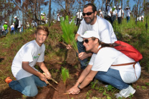 Grupo  SID Realiza Jornada de Reforestación