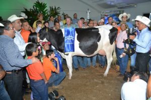 Ejemplar Atwood Motosierra gana máximo galardón en Feria Agropecuaria