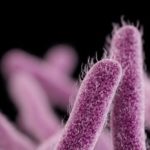 Superbacteria estomacal resistente se propaga por Estados Unidos