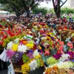 Jarabacoa se encuentra llena de colorido con celebración “Festival de las Flores 2017”