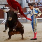 Un toro mata a torero frente a miles espectadores
