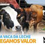 Presidente Medina asegura producción de leche en RD aumentará significativamente este año