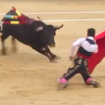 FUERTE VIDEO: dos toreros son corneados en la misma corrida en España