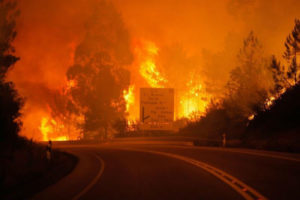 California: incendios dejan 750 casas destruidas, miles evacuados