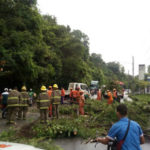 Miembros de Comipol del MOPC retiran árboles y escombros derribos por vientos y lluvias en región sur