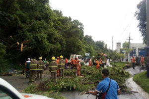 Miembros de Comipol del MOPC retiran árboles y escombros derribos por vientos y lluvias en región sur