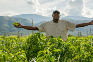 Presidente Medina valora laboriosidad agricultores dominicanos, artífices de soberanía alimentaria