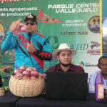 Sugieren industrializar la cebolla y planificar siembra por regiones