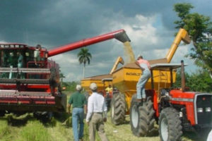 Crédito agrícola pasa RD$17,000 millones a unos RD$100,000 millones en seis años