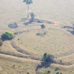 ¿Qué son los misteriosos geoglifos que intrigan a investigadores en Brasil?