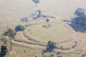 ¿Qué son los misteriosos geoglifos que intrigan a investigadores en Brasil?