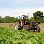 Más de 10,000 empleos en el campo se perdieron en 2018