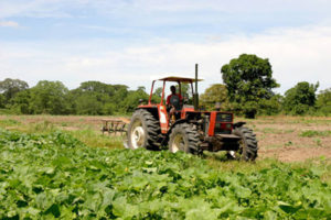 Más de 10,000 empleos en el campo se perdieron en 2018