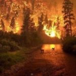 En la Amazonía, 4 mil incendios en 24 días, aumenta en un 83% con respecto al 2018