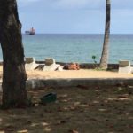 Un extranjero de apariencia asiática está tirado en el Malecón supuestamente con síntomas de Covid-19