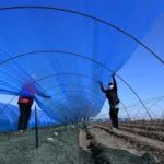 Casos de Covid-19 a nivel mundial superan los 700,000