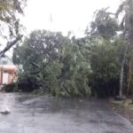 EDE Este informa que tormenta Laura afecta el servicio a más de 560,000 de sus clientes