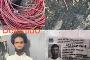 Policía Nacional apresa uno de cuatro sospechosos de robo de cables en AILA