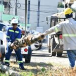 EDEEste restablece más del 80 % de los circuitos afectados por incendio en Subestación Gascue