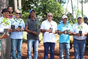 Director Desarrollo Fronterizo entrega plantas de Café en Dajabón