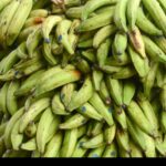 Presidente Abinader crea Comisión Dominicana del Plátano