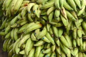 Presidente Abinader crea Comisión Dominicana del Plátano