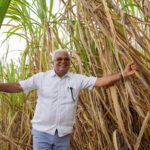 CEA alista operaciones Ingenio Porvenir con producción de 200,000 toneladas de azúcar