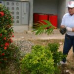 Cemadoja y Digecac realizan en San Luis Jornada de Reforestación