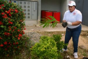 Cemadoja y Digecac realizan en San Luis Jornada de Reforestación